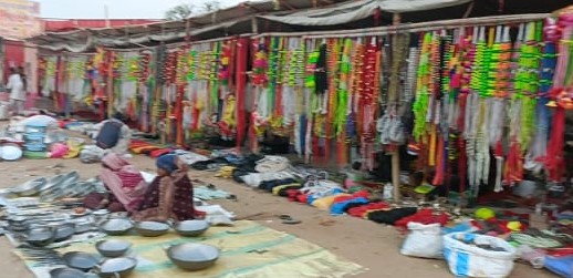 अंतर्राष्ट्रीय ख्याति प्राप्त पुष्कर पशु मेला बिना औपचारिक समारोह के बीच शुरू हुआ