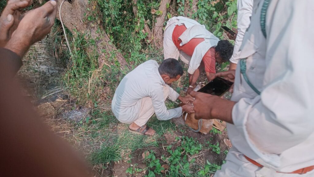 नयागांव कतर से नीलगाय के बच्चे का वन कर्मियों द्वारा रेस्क्यू किया गया