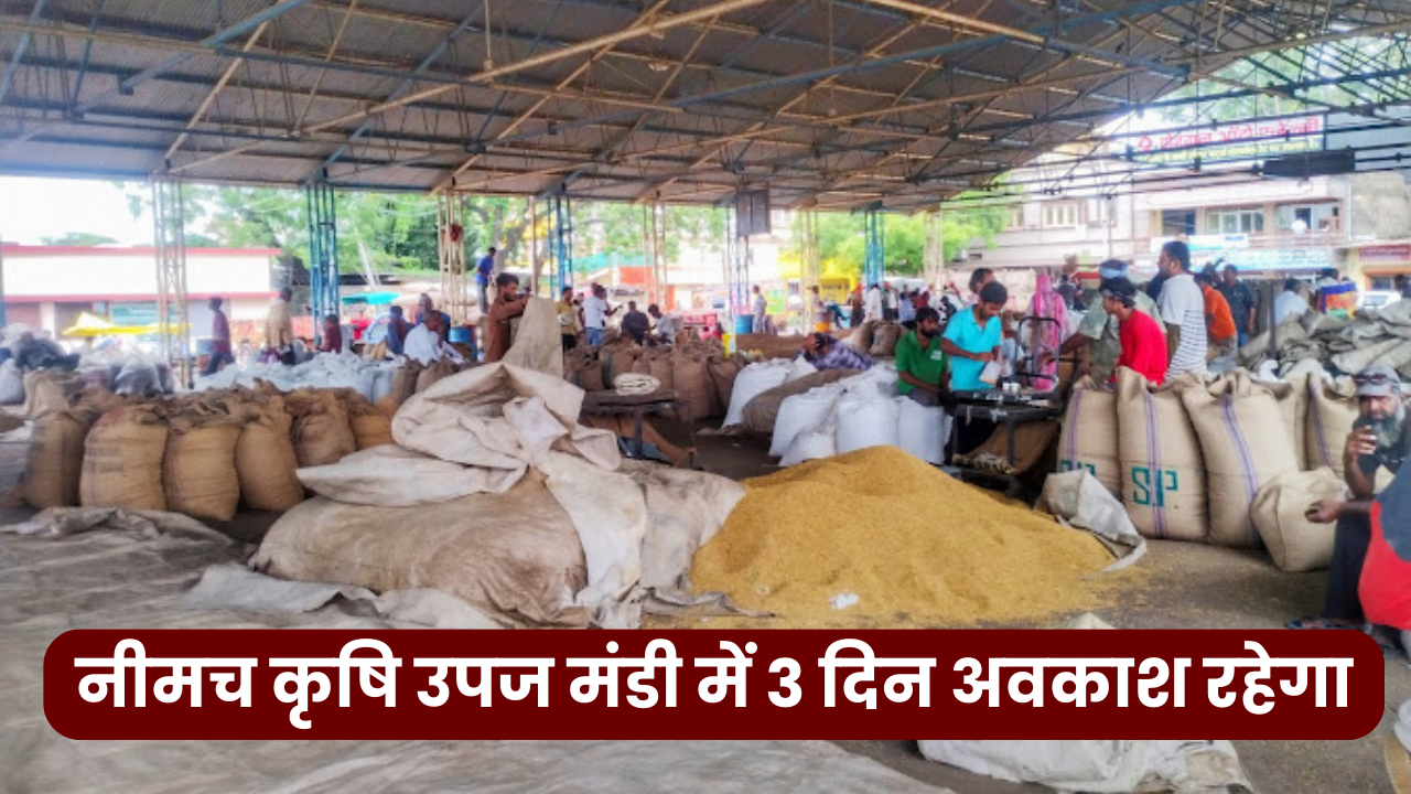 नीमच कृषि उपज मंडी में 3 दिन अवकाश रहेगा