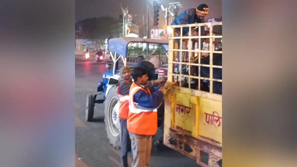 नपा के द्वारा पशुओं को पकड़ने का अभियान जारी,21 पशु पकड़ कर गौशाला भिजवाए गये नपा के द्वारा पशुओं को पकड़ने का अभियान जारी ,21 पशु पकड़ कर गौशाला भिजवाए गये