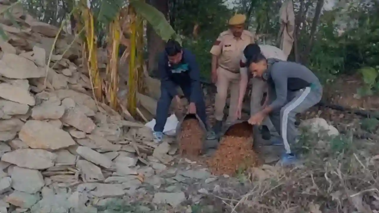 बालाडिट गांव में कार्यवाही करते हुए अवैध महुआ शराब के खिलाफ कार्यवाही की गई।