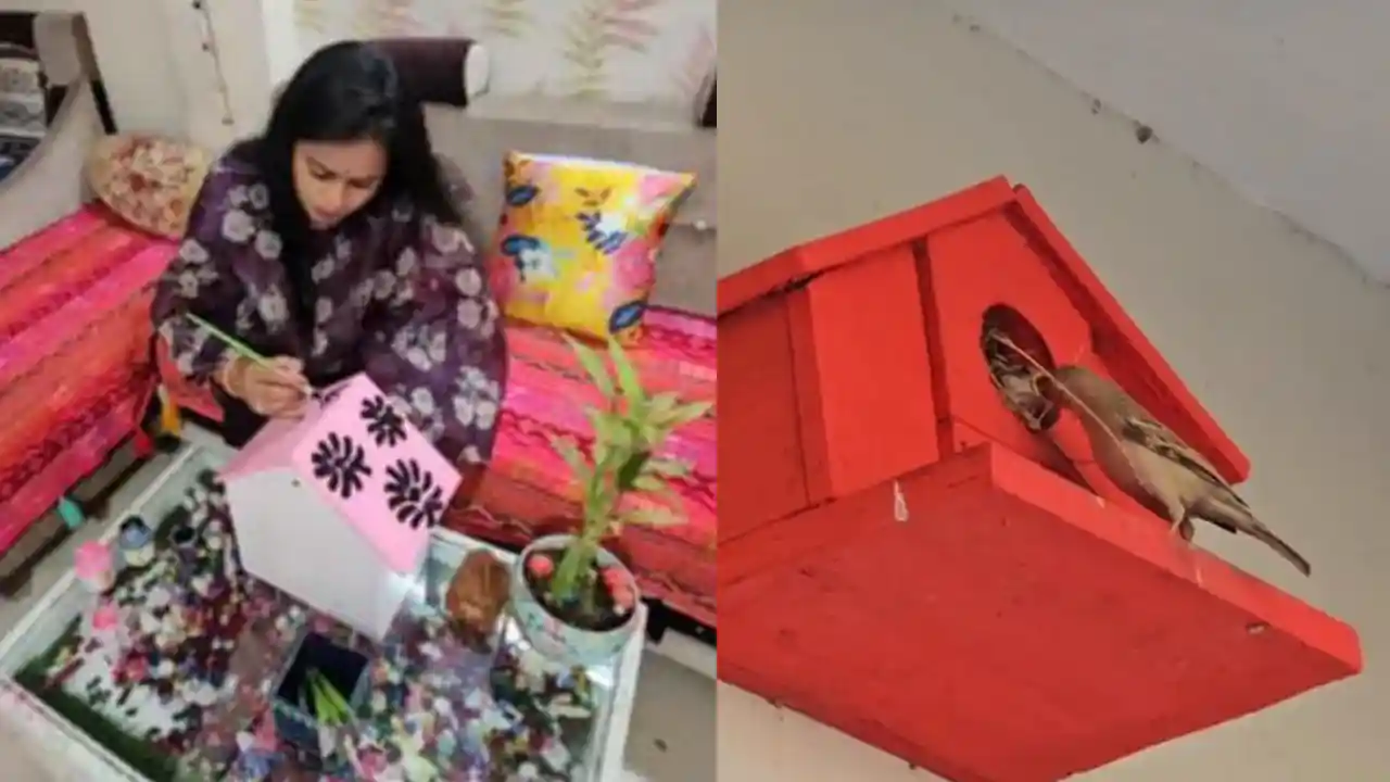 बड़वाह की एक शिक्षिका ने खुद डिजाइन किए बर्ड होम 70 परिवारों को प्रदान कीए।