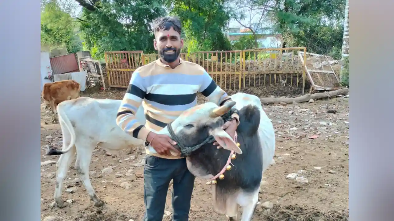 गौ एवं गोशाला उत्थान संघ मध्य प्रदेश के नीमच प्रदेश महामंत्री के पद पर मितेश अहीर नीमच को नियुक्त किया गया।