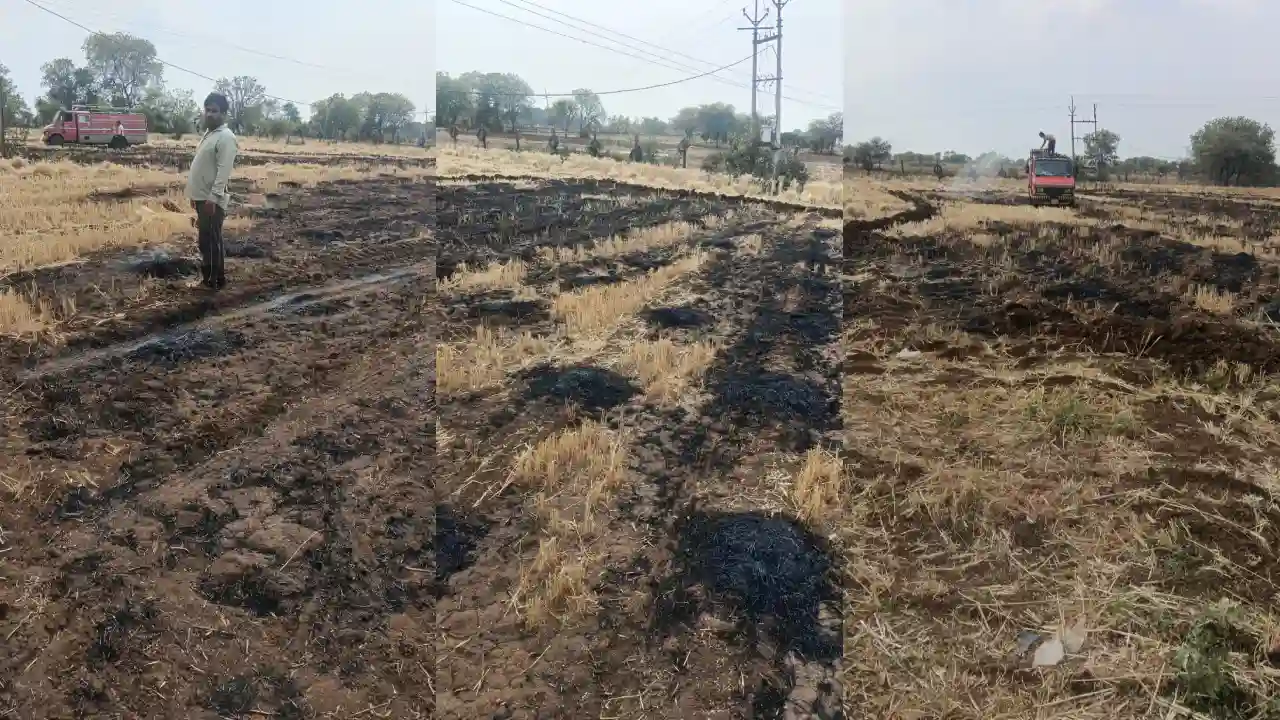 सरवानिया महाराज में शॉर्ट सर्किट से गेहूं के खेत में लगी आग, एक बीघा से अधिक की फसल जलकर राख सरवानिया महाराज में शॉर्ट सर्किट से गेहूं के खेत में लगी आग, एक बीघा से अधिक की फसल जलकर राख