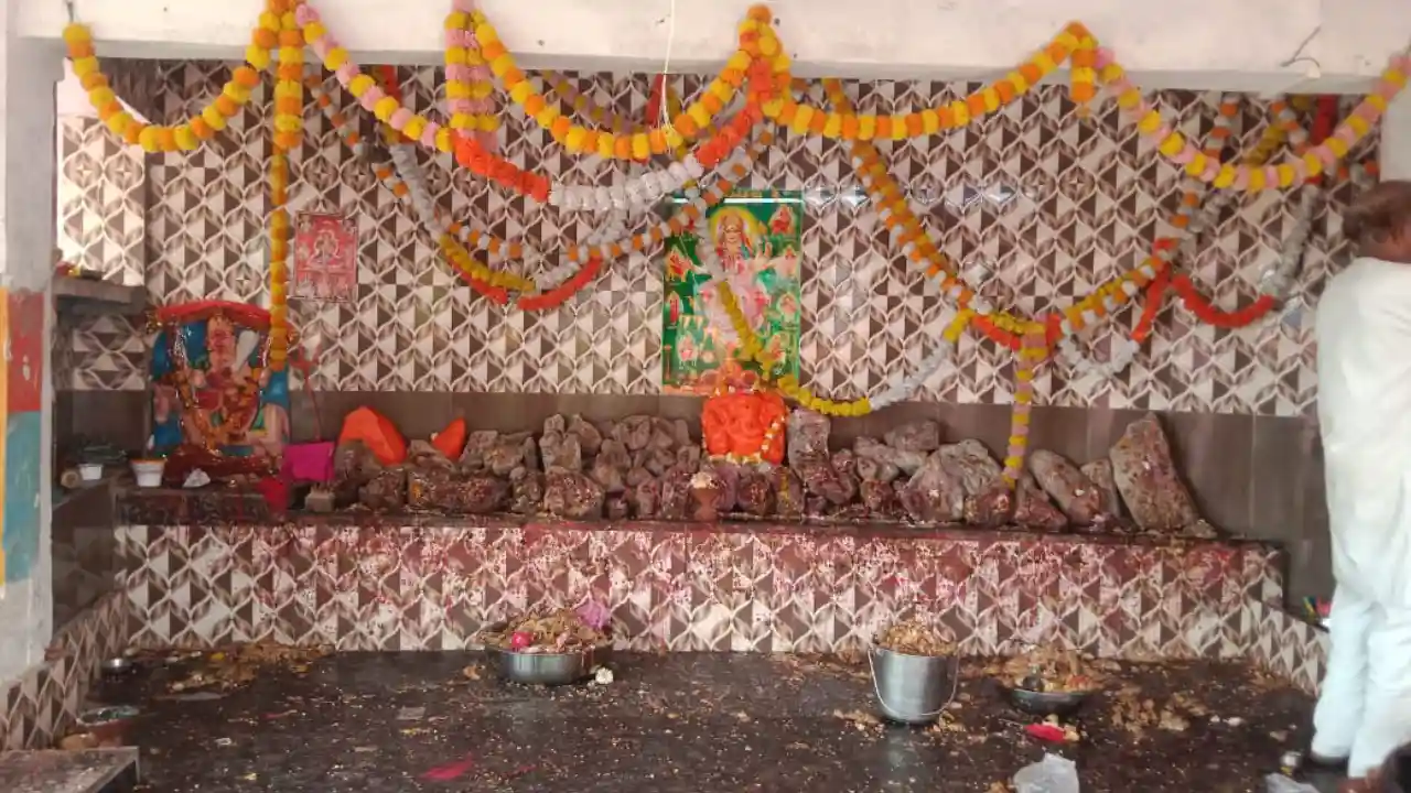 शीतला सप्तमी पर नगर के वार्ड 10 स्थित प्राचीन मंदिर में महिलाओं ने माँ शीतला का किया पुजन
