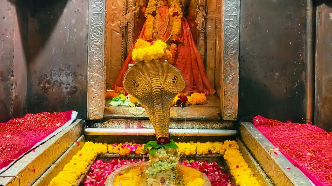 अवैध रूप से पैसे लेकर तीर्थ नगरी ओमकारेश्वर में दर्शन कराने वालों के विरुद्ध कार्यवाही।