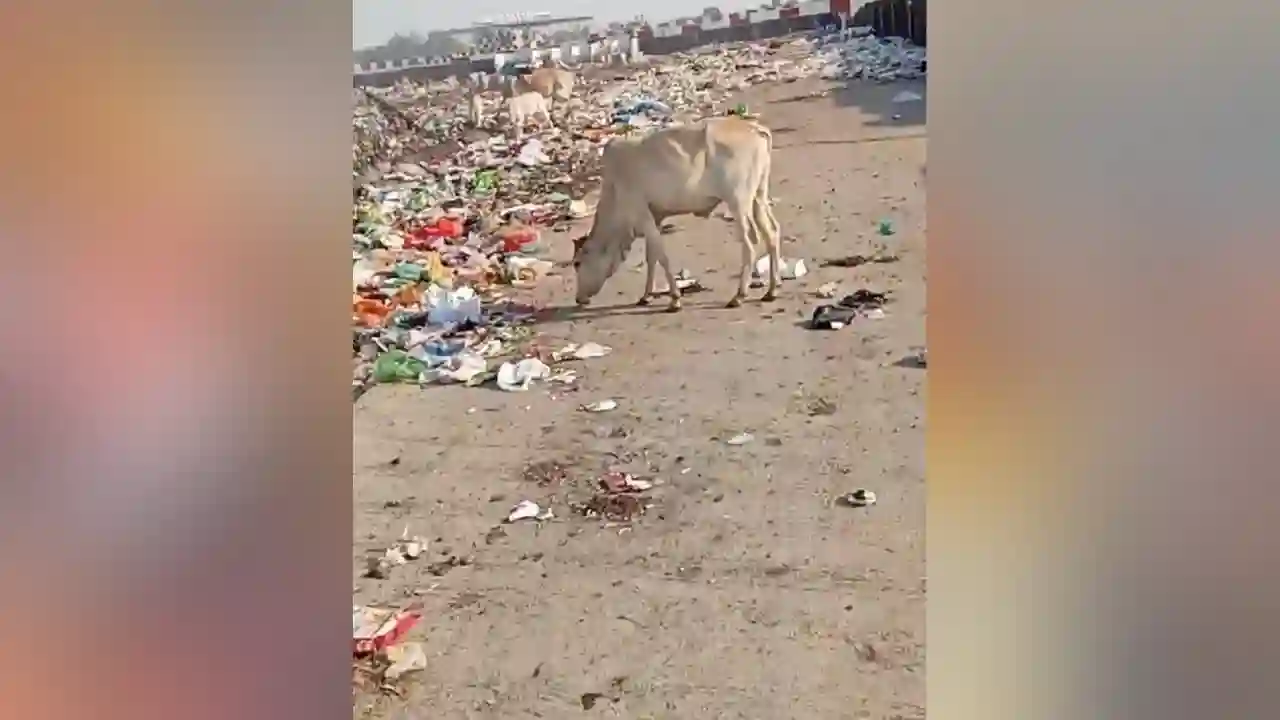 नगर परिषद द्वारा जो स्वच्छ भारत मिशन के तहत कचरे की गाड़िया जो चला रखी है उसमे भी कई लापरवाही दिख रही है
