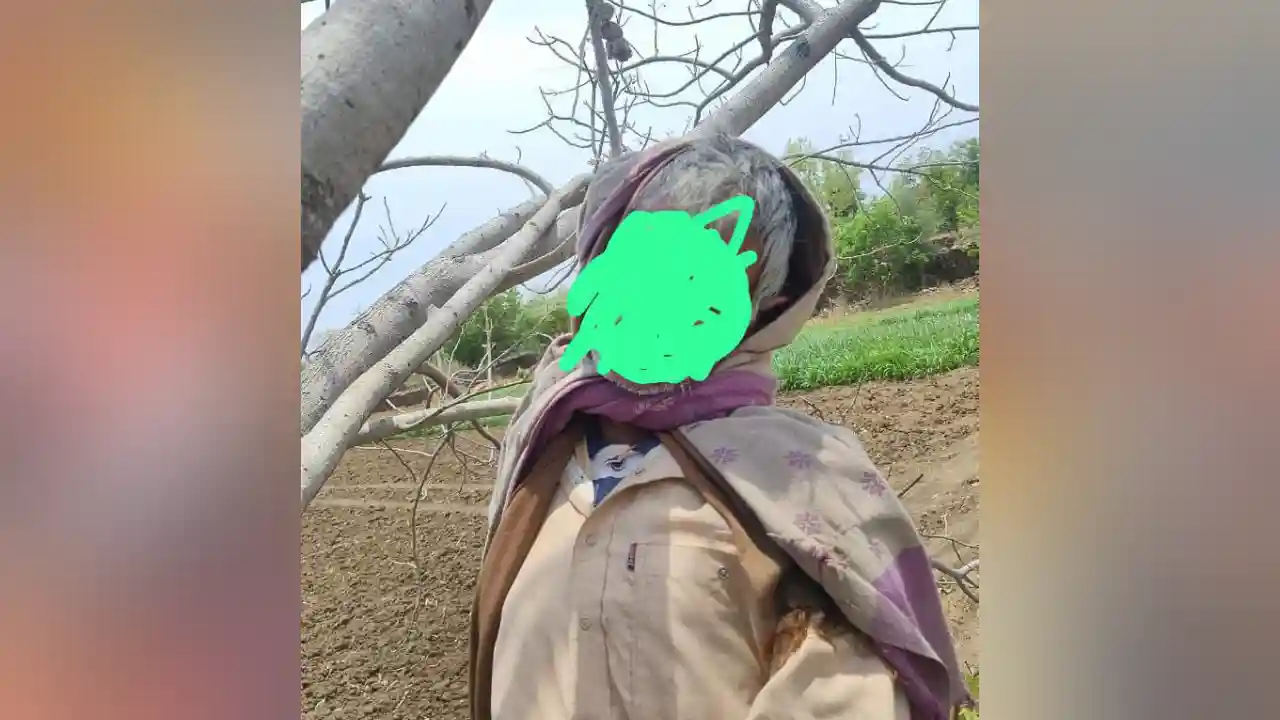 अज्ञात कारणों से पेड़ पर अधेड़ उम्र के व्यक्ति ने फांसी लगा की आत्महत्या पुलिस जुटी जांच में