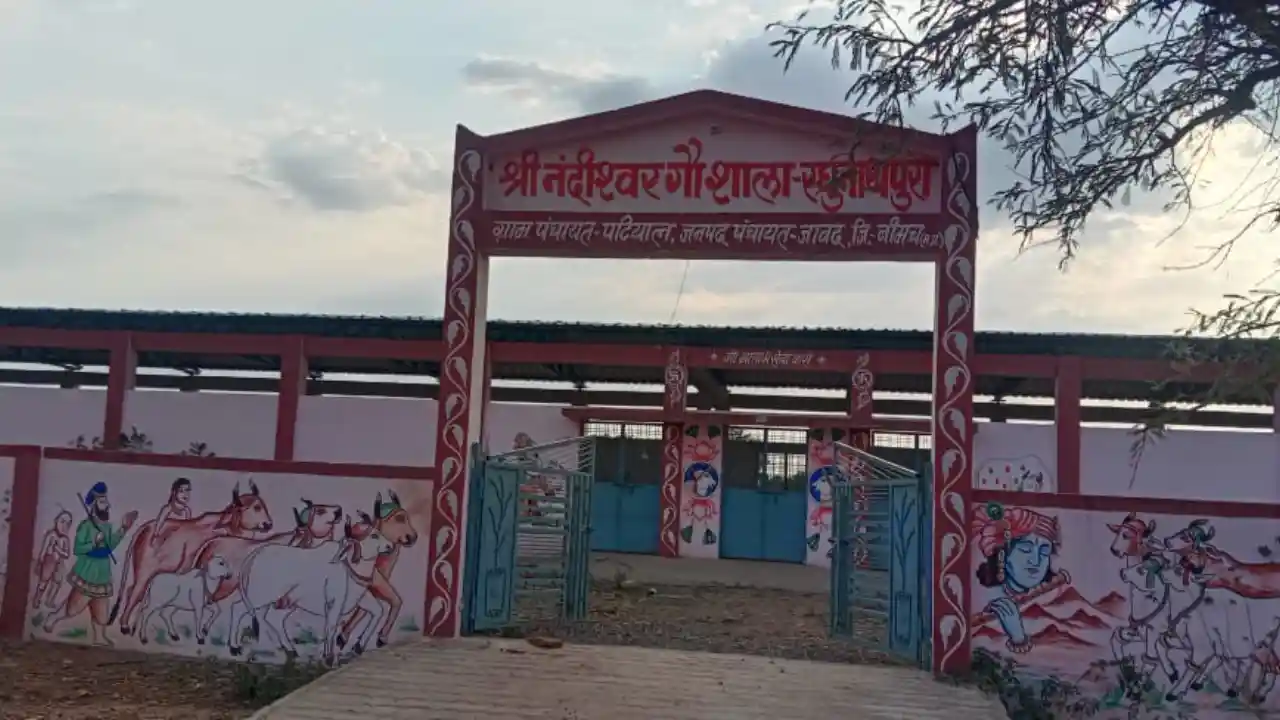 सड़कों से लेकर खेतों तक छुट्टा गौवंश