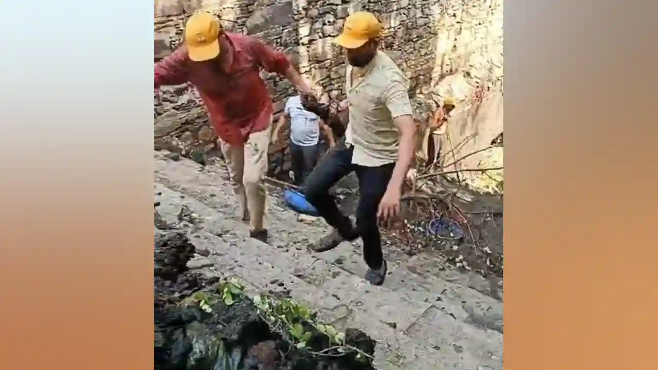गायत्री परिवार व वर्क संस्था द्वारा 8 साल से व्याप्त गंदगी को अभियान चलाकर साफ किया जा रहा है
