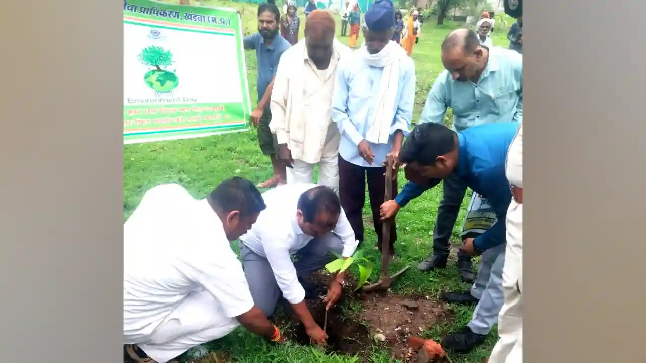 वृहद वृक्षारोपण अभियान के तहत ग्राम पिपलोद खास में पौधारोपण