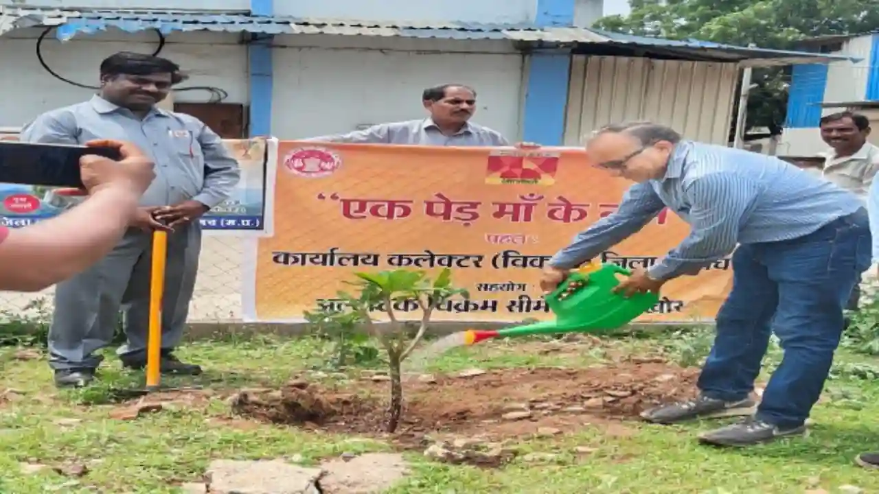 औद्योगिक क्षेत्रों में 825 पौधे रोपे गये