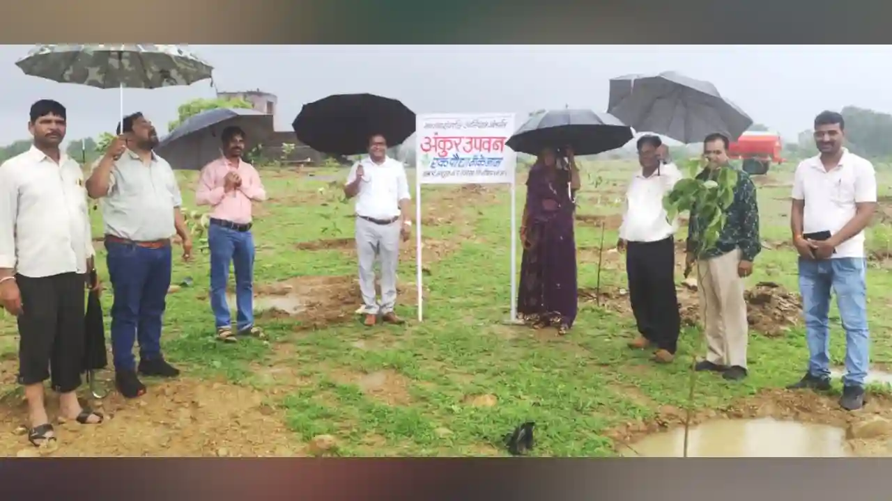 जिला पंचायत सीईओ ने अंकुर उपवनों का निरीक्षण किया