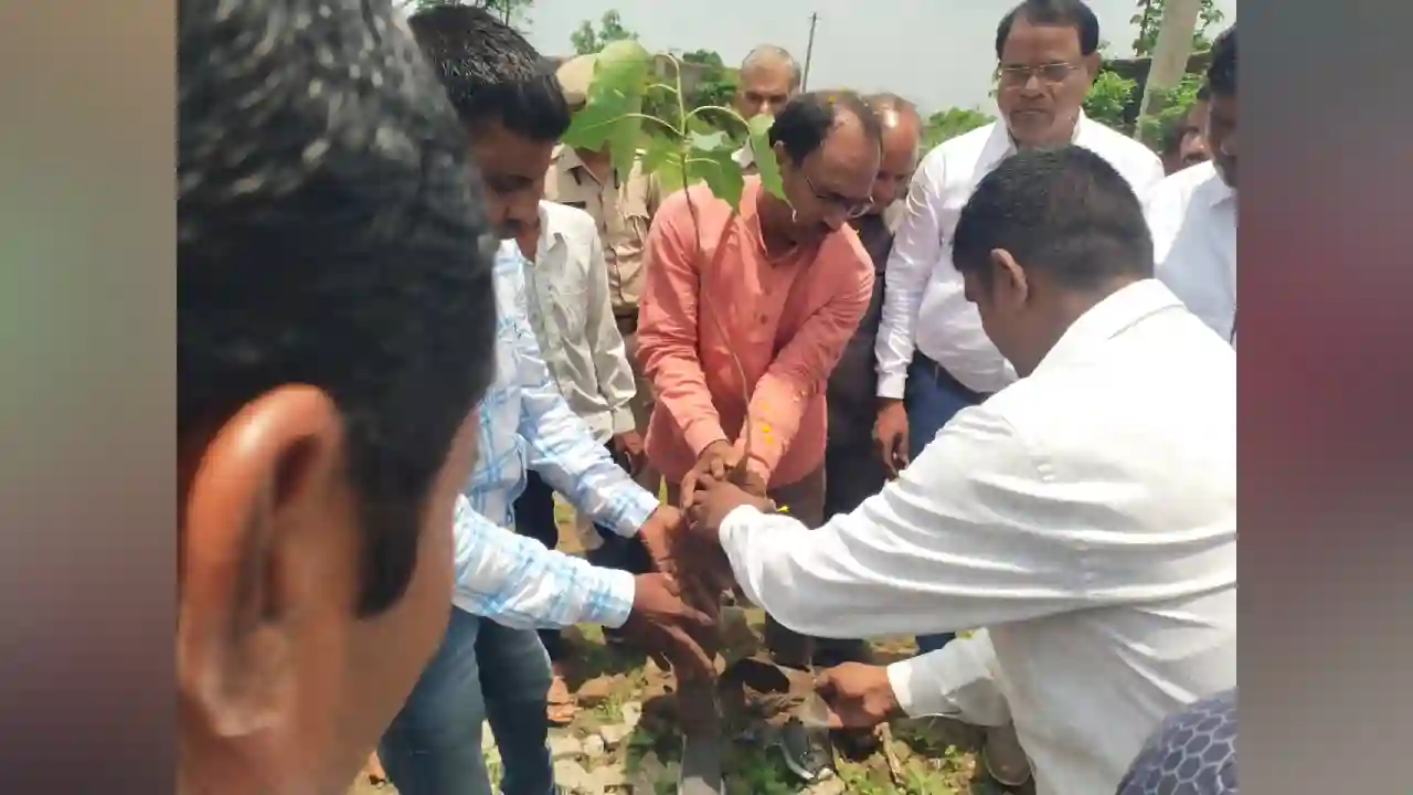 उदयपुर सांसद डॉ.मन्नालाल रावत ने एक पेड़ मां के नाम कार्यक्रम के तहत वृक्षारोपण कर छात्राओं को साइकिल वितरण की