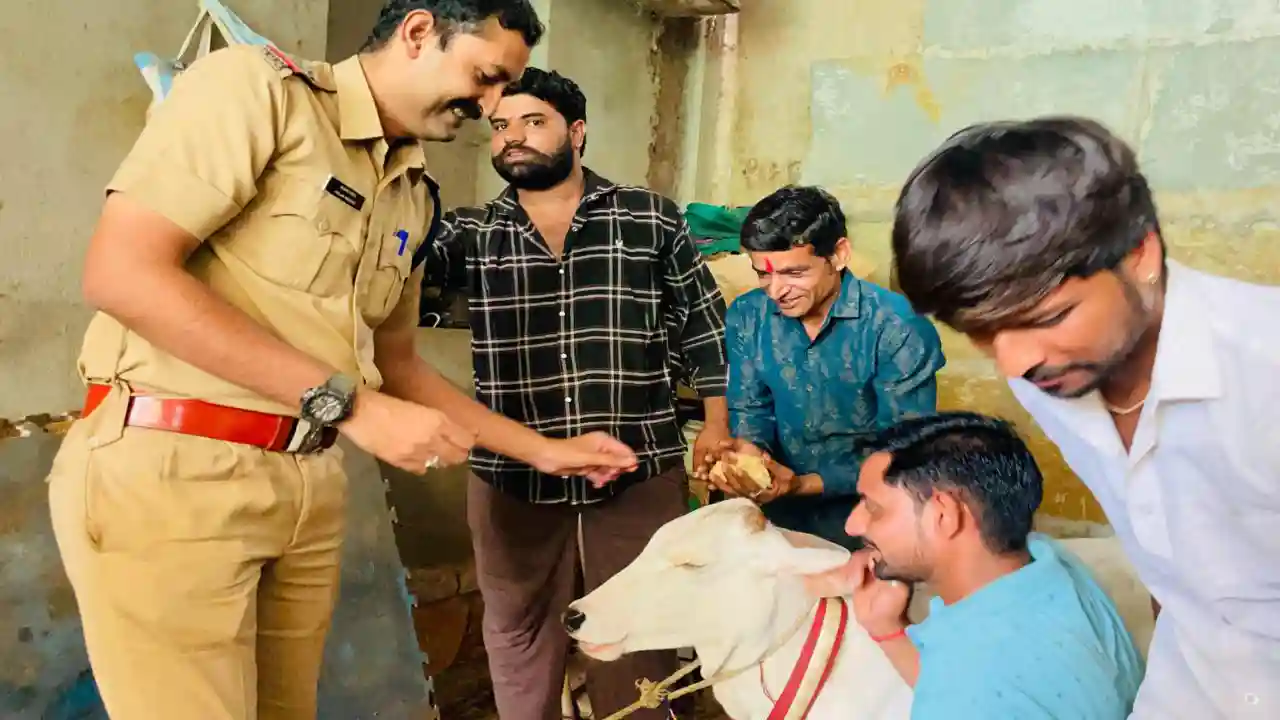 नवाचार - गौ सेवार्थ जिनके उठें हाथ उन हाथों में रक्षा सुत्र बांध किया सम्मानित।