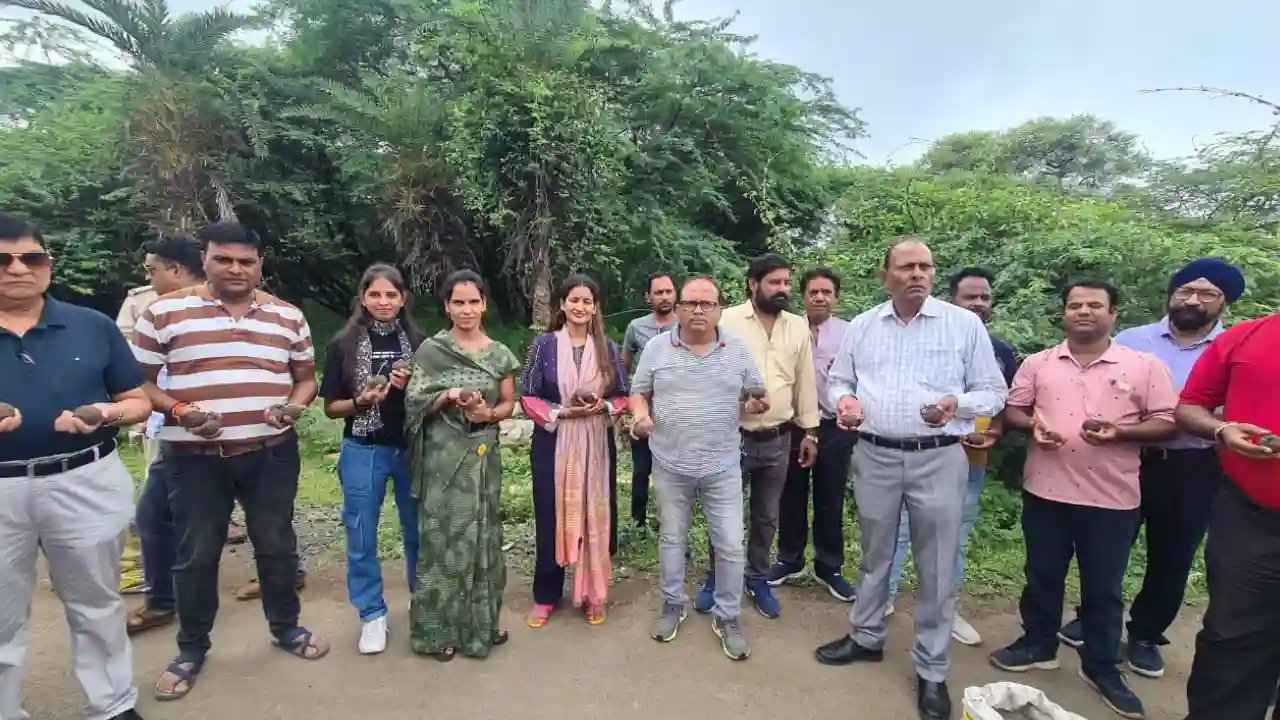 साक्षी सुरक्षा वेलफेयर फाउंडेशन एवं नगर परिषद नीमच के द्वारा 7500 सीडबाल पौधारोपण कार्यक्रम संपन्न हुआ