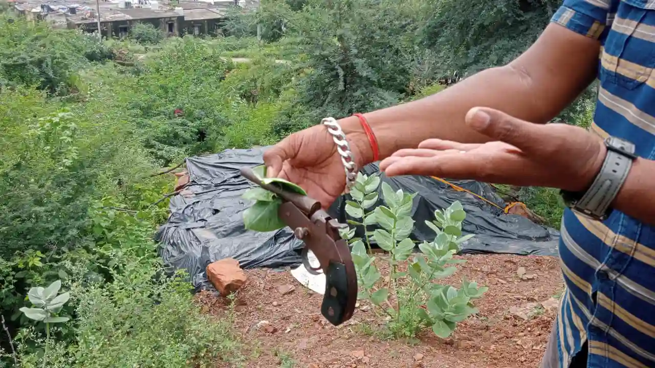 रतनगढ़ में हथियारबंद इको कार में संदिग्ध व्यक्तियों की सूचना पर पुलिस आई हरकत में एक संदिग्ध व्यक्ति को लिया हिरासत में बाकी की तलाश जारी