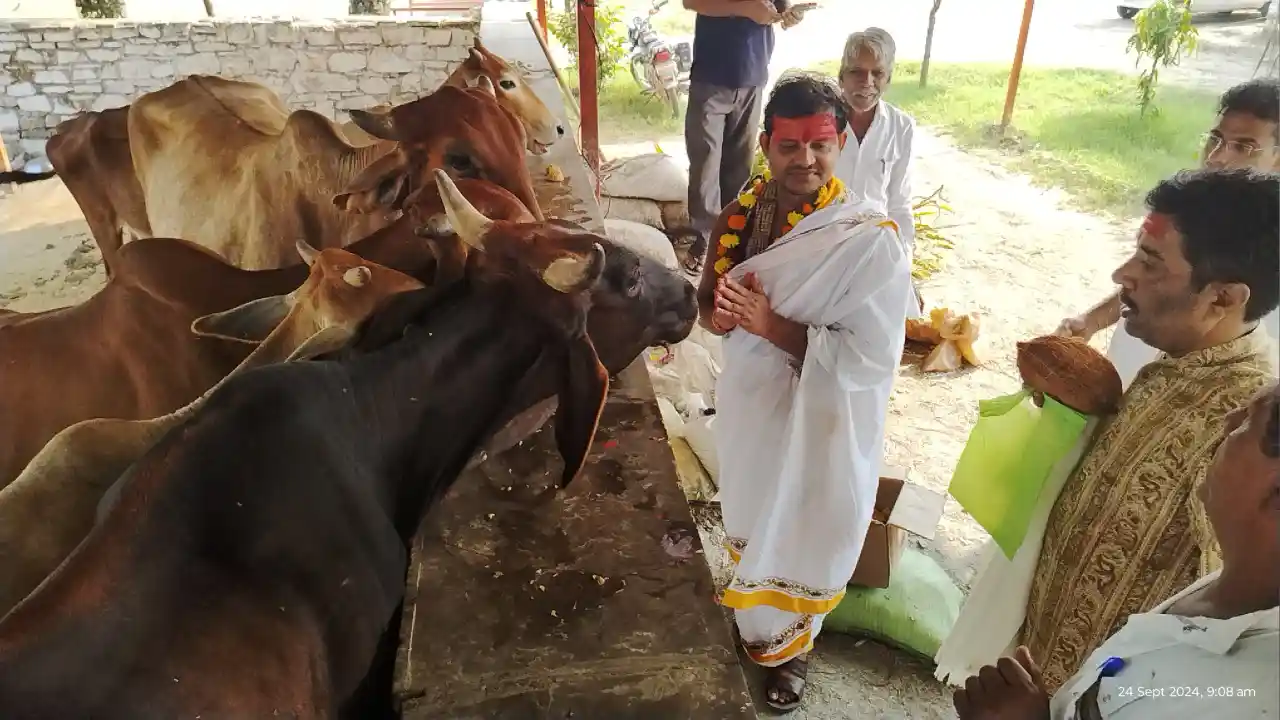 वृंदावन के प्रसिद्ध कथा वाचक कौशलेंद्र जी ने किये मां बस देवी माताजी के दर्शन।नारायण गौशाला में गायों को खिलाया गुड व चारा।