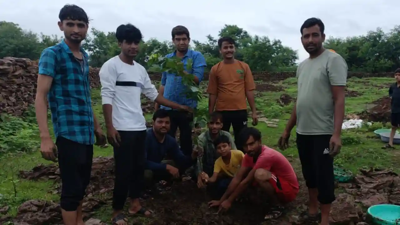 धारडी युवा संगठन ने एक पेड़ मां के नाम से लगाए 120 पौधे