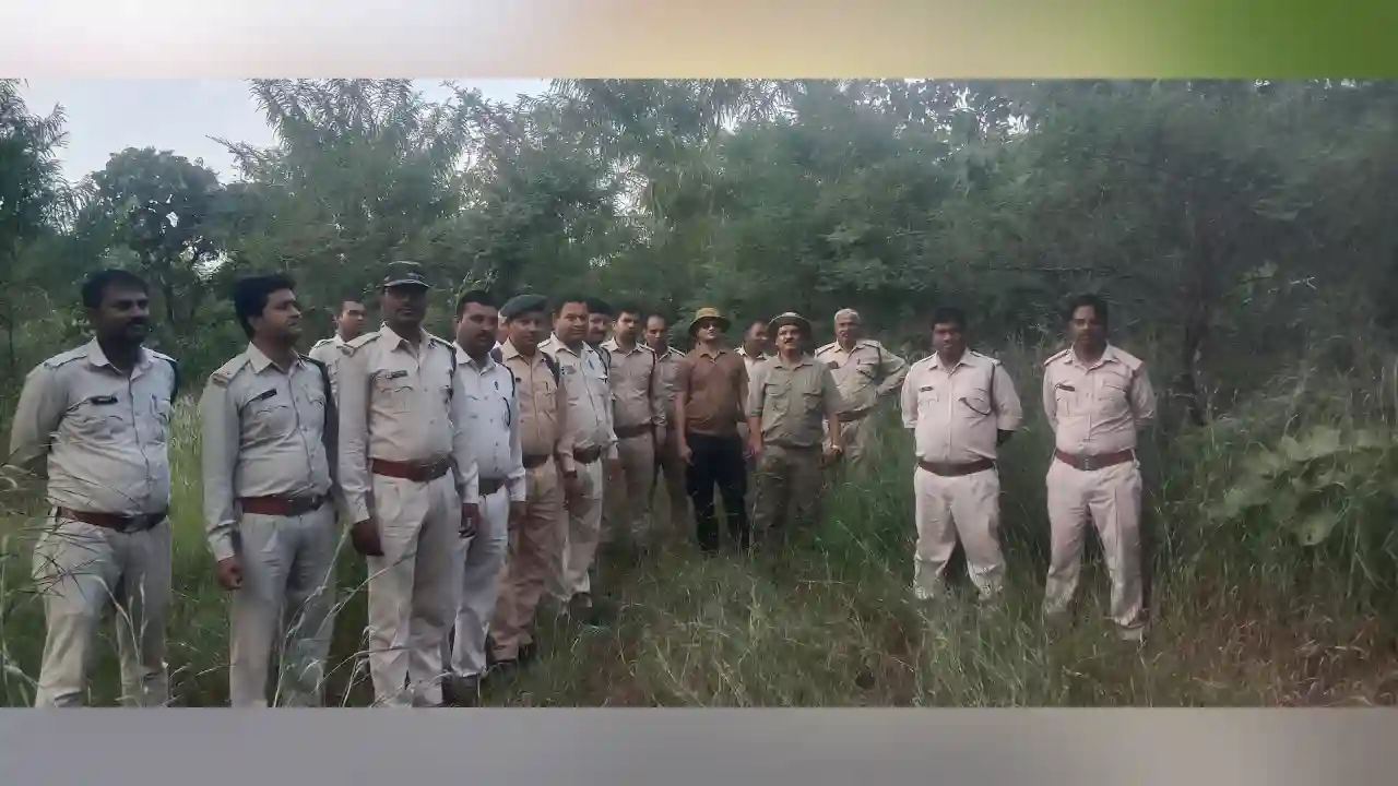 उप वन मंडलाधिकारी ने कोज्या वन परिक्षेत्र का किया निरीक्षण