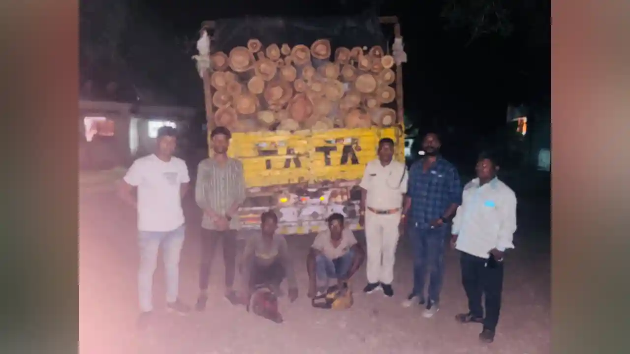 वन विभाग ने 80 क्विंटल गीली लकड़ी का अवैध परिवहन करते हुऐ दो अपराधीयों को पकड़ा