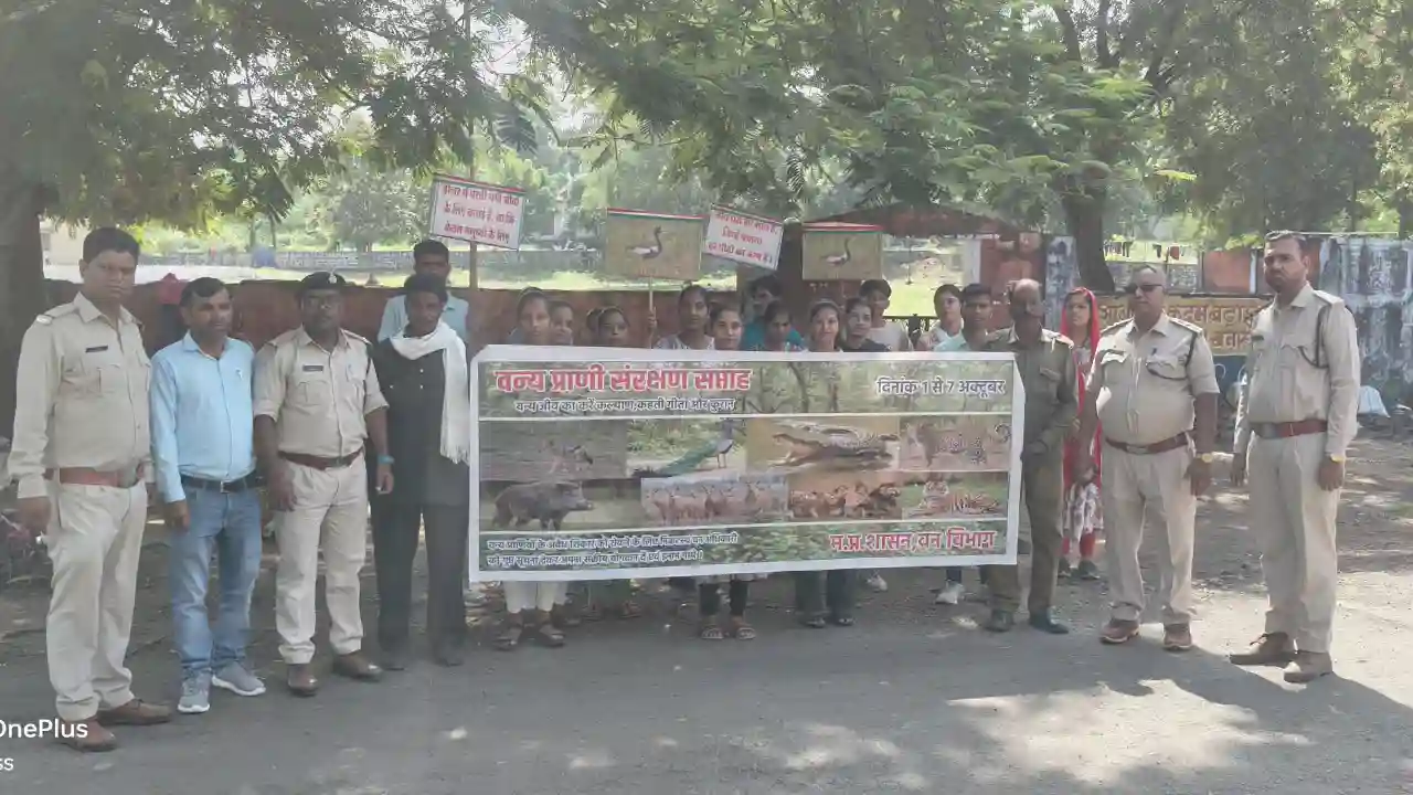 शासकीय महाविद्यालय जीरन में वन्य प्राणी संरक्षण सप्ताह के तहत कार्यक्रम संपन्न