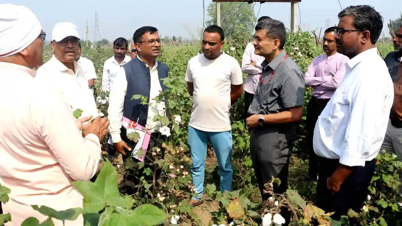 ज्वाइंट सेक्रेटरी भारत सरकार दिल्ली श्री गोपाल ने किया कपास फसल का निरीक्षण