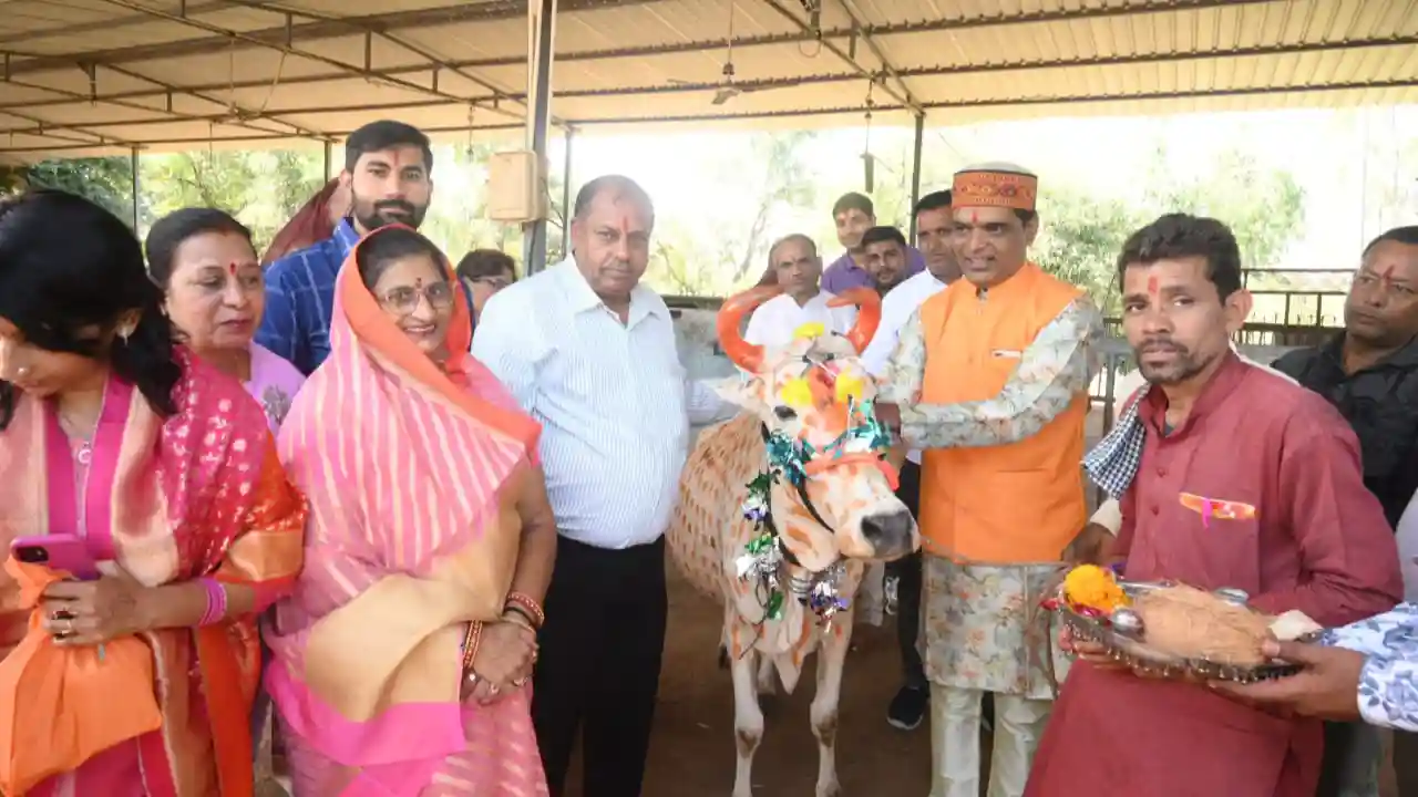 गोवर्धन की पूजा कर गोवंश को लापसी खिलाई।