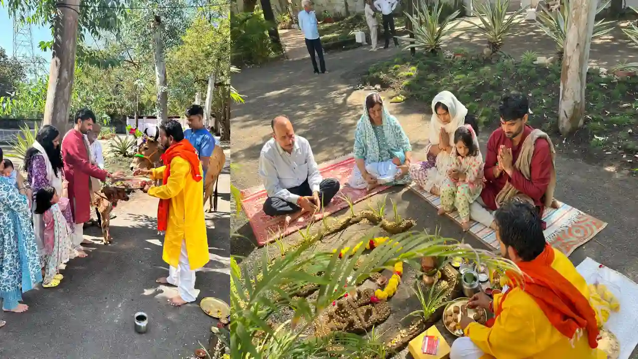 कलेक्टर निवास पर गोवर्धन पूजा की गई