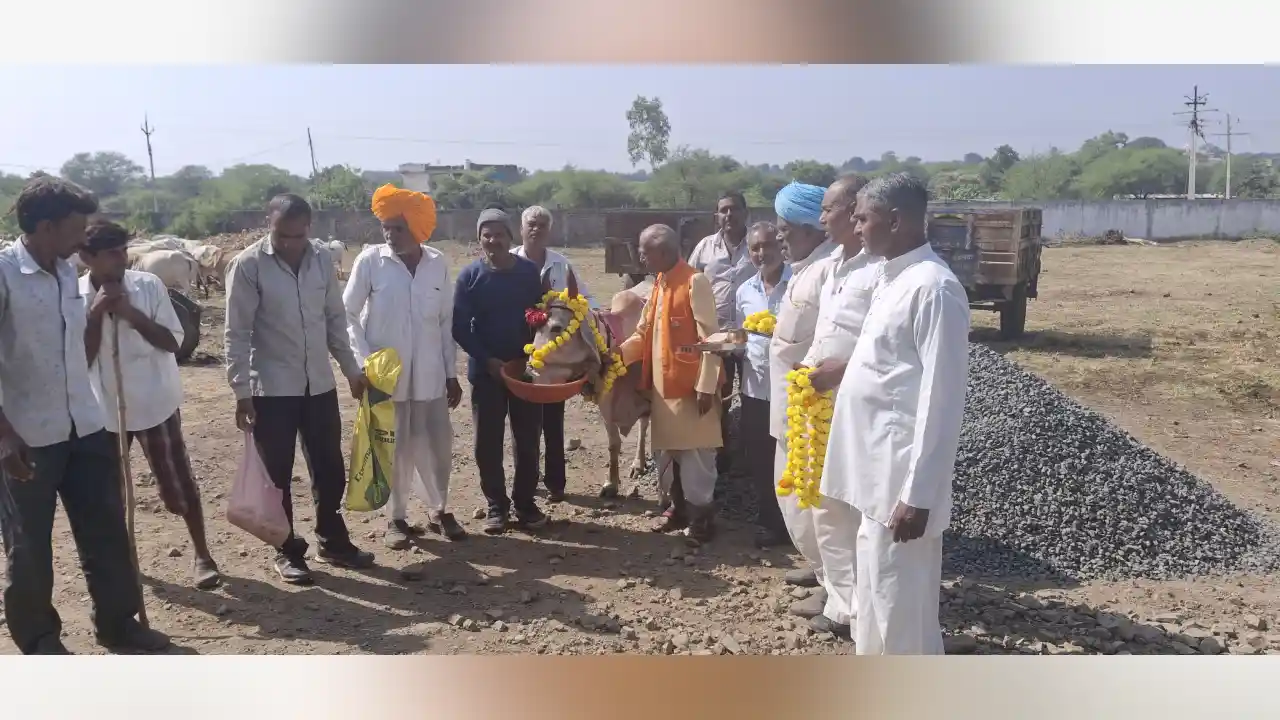 श्री सांवरिया गौशाला में गौमाता की पूजन कर मनाया गोपाष्टमी पर्व