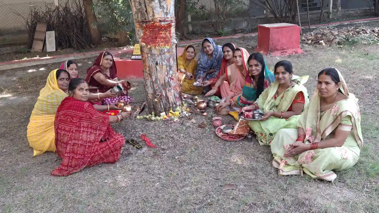 आंवला नवमी पर वृक्ष का पूजन कर मांगी परिवार के लिए सुख, शांति व समृद्धि