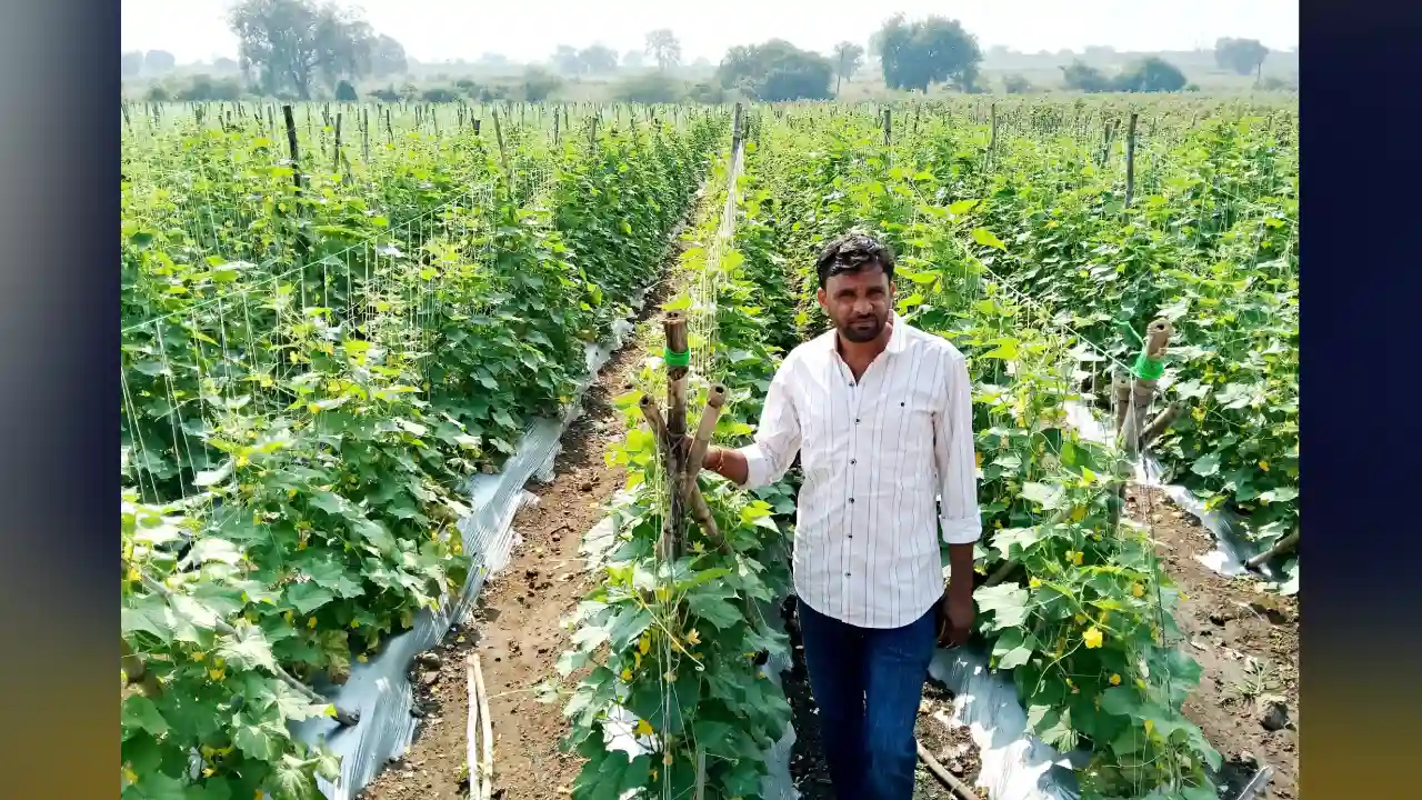 उद्यानिकी फसल अपनाने से कृषक की आय में हुई वृद्धि