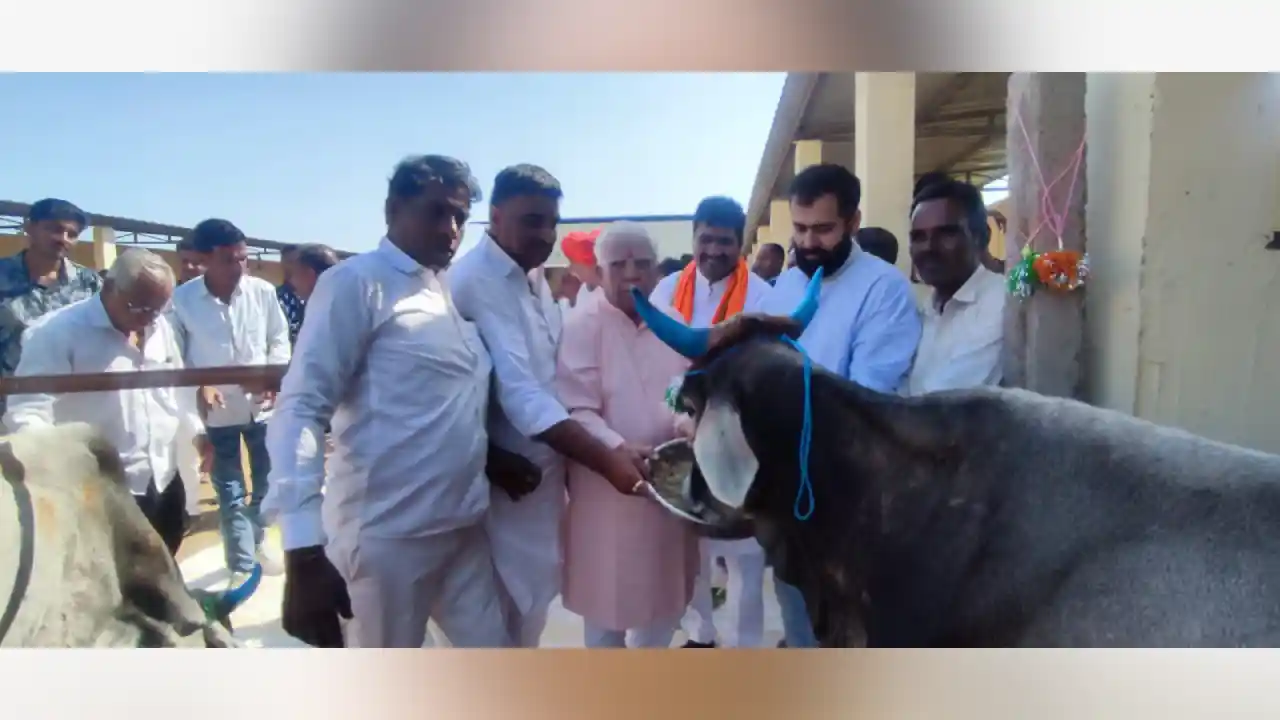 गुरु दिवाकर कमल गौशाला नंदावता मैं गौ माता का पूजन कर आहार कराया