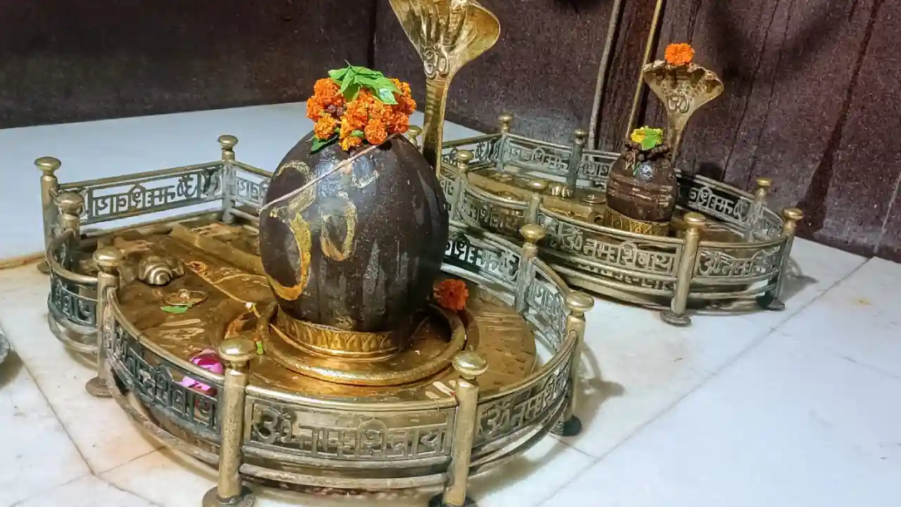 मल मास के पवित्र अवसर पर प्राचीन श्री बिजेश्वर महादेव धाम बिजवाड़ में श्रीमद्भागवत का आयोजन