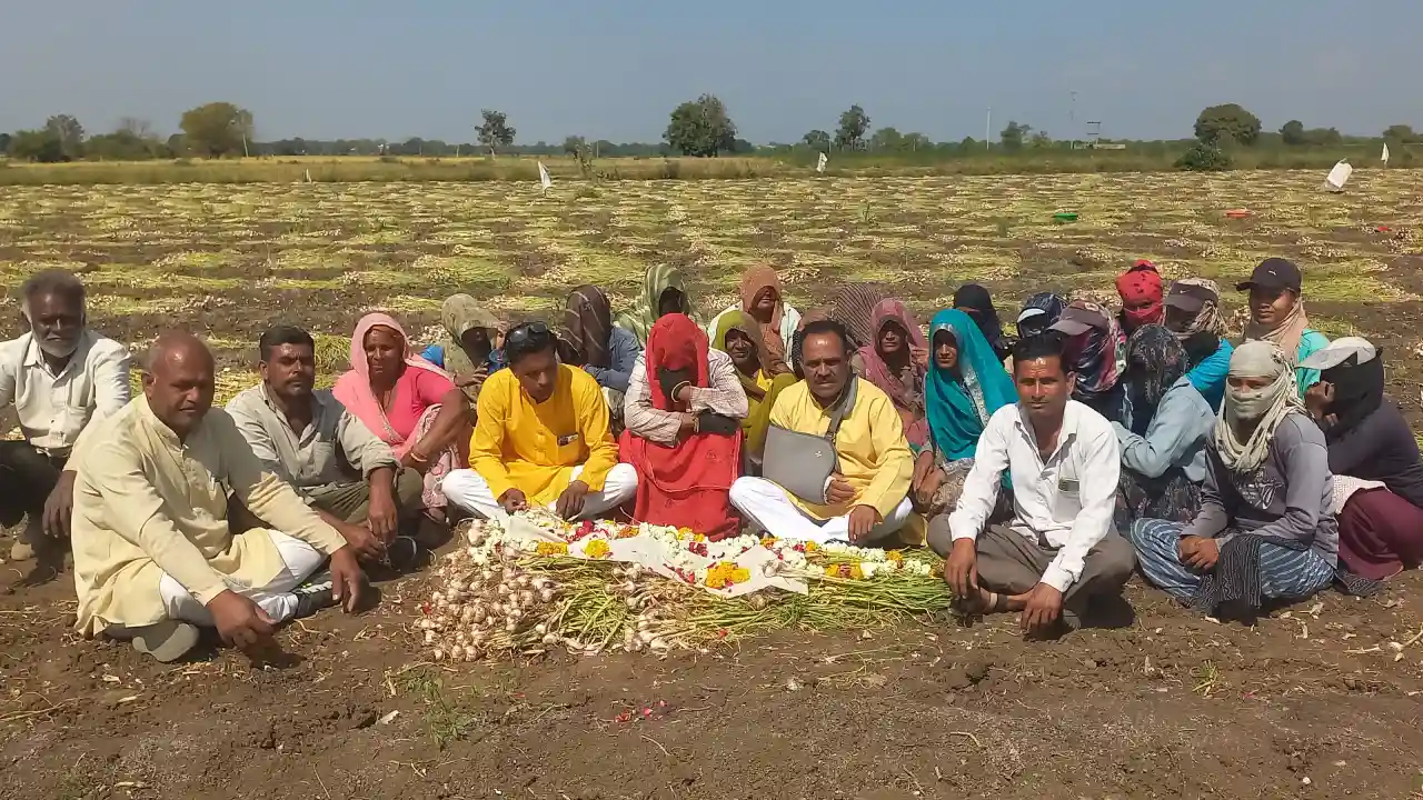 लहसुन के लगातार भाव गिरने से आक्रोशित कांग्रेजनो ने किसानों के साथ खेत मे लहसुन पर कफ़न ओढ़ा कर माला चढ़ाकर दी श्रद्धांजलि