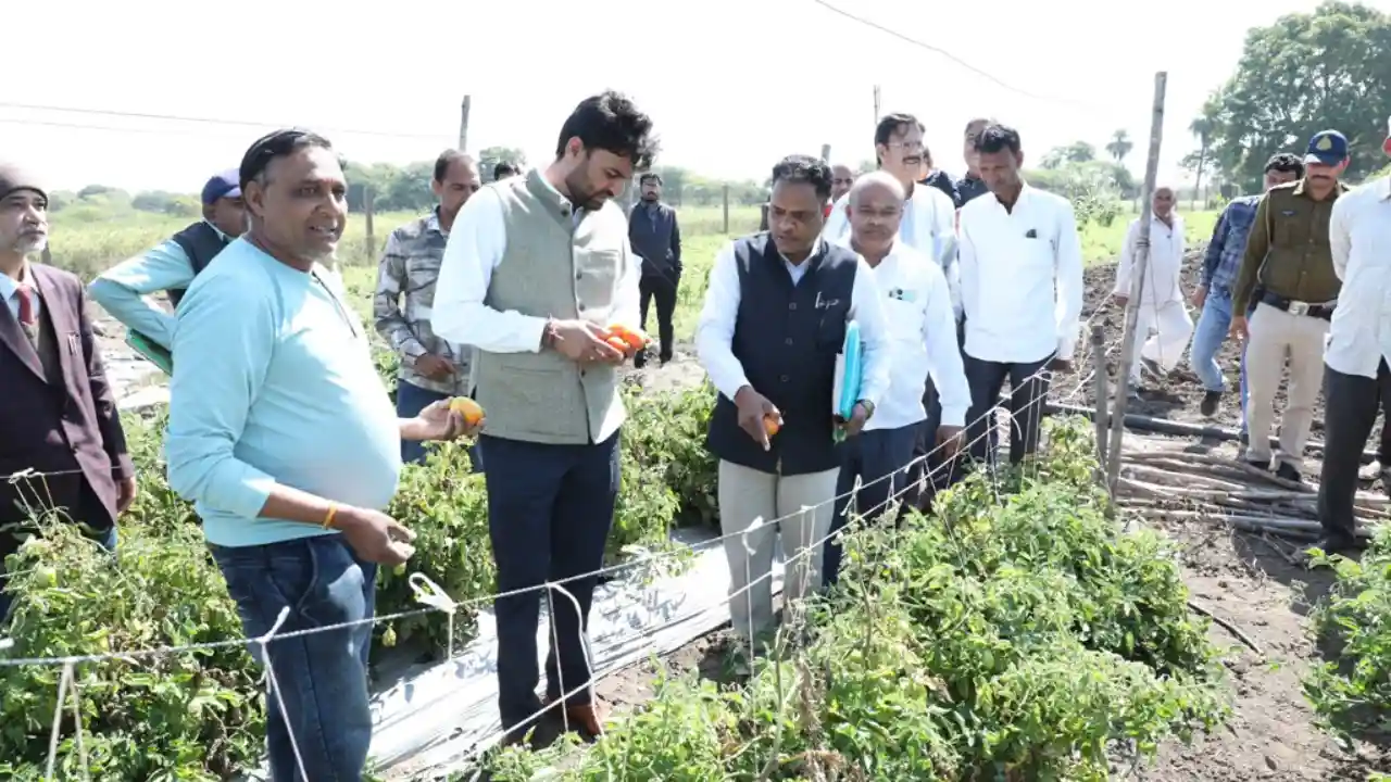 कलेक्‍टर ने खेत में जाकर किया जैविक खेती का अवलोकन