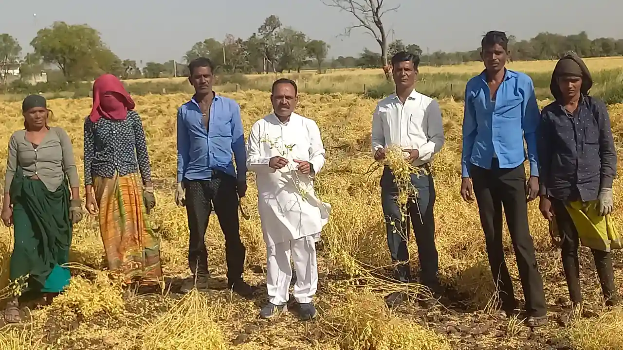 चना,सोयाबीन का समर्थन मूल्य 8 हजार रुपये,गेंहू 31सो रुपये प्रति क्विंटल में खरीदे सरकार।