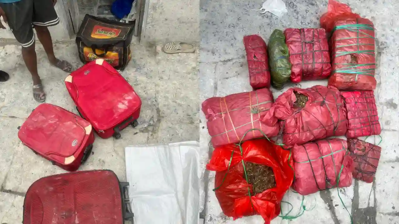 ग्राम-मेलखेड़ा,शामगढ़,मंदसौर घर पर छापा मारकर 11.120 किलोग्राम अवैध गांजा बरामद किया