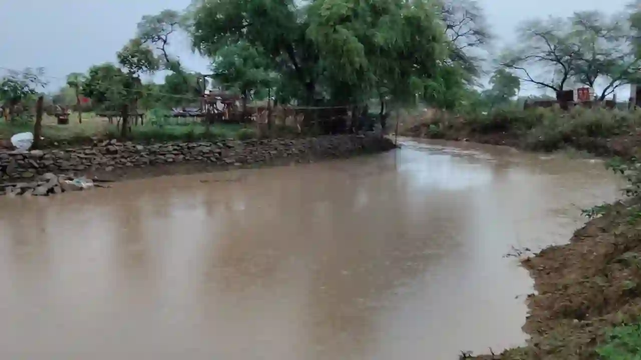 कुकड़ेश्वर में झमाझम बारिश से मिली राहत, नदी-नाले उफान पर, किसानों में खुशी की लहर