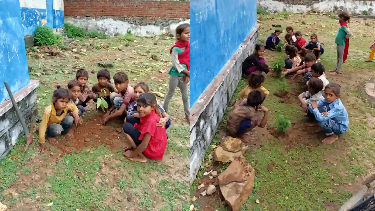 प्राथमिक विद्यालय पांडू कुड़ी में योग दिवस के साथ वृक्षारोपण किया गया।