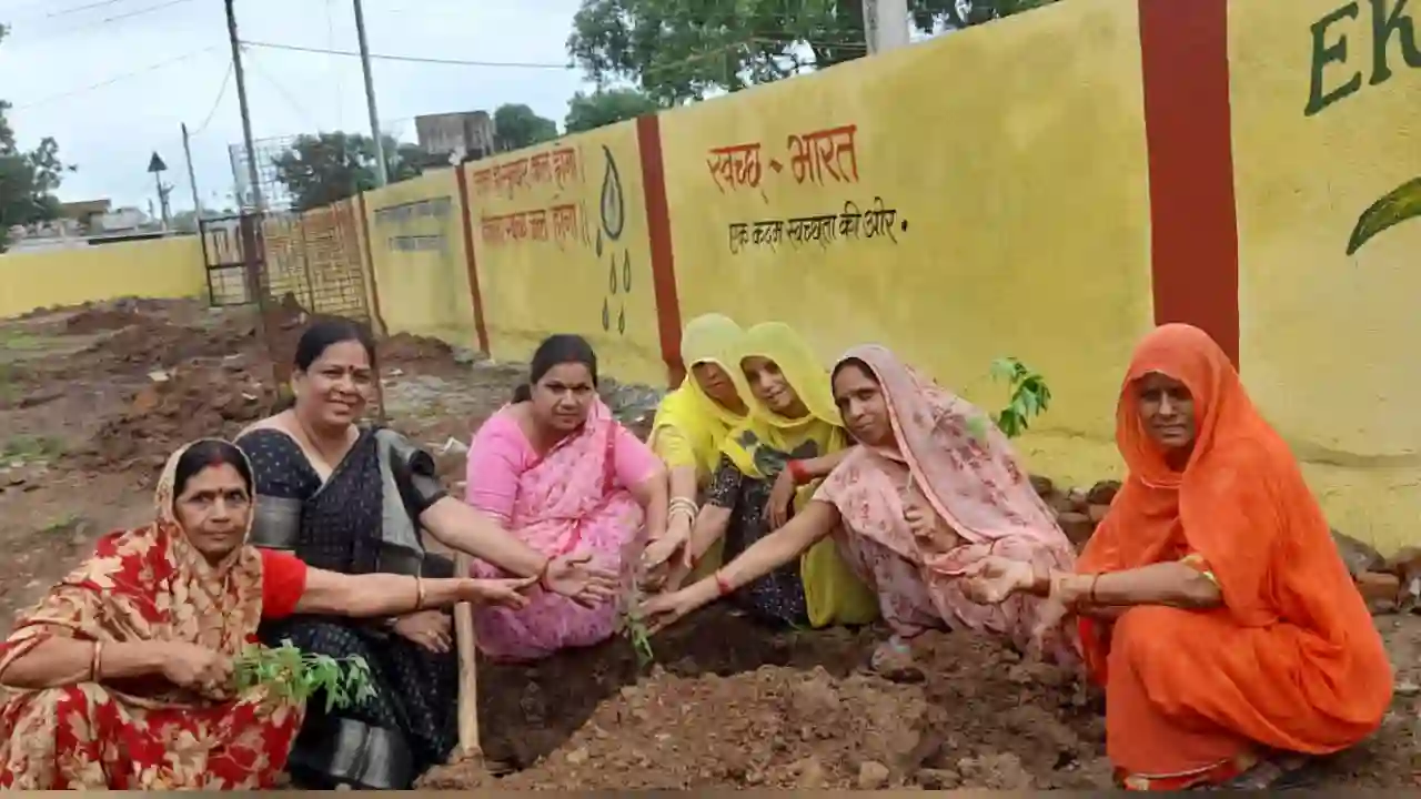 ग्राम लेवड़ा के प्राथमिक विद्यालय में हुआ वृक्षा रोपण !