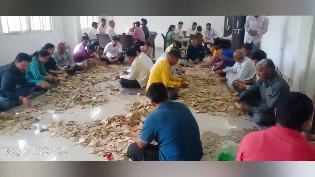ढ़ाई माह में भादवामाता की दानपेटी से निकली 28 लाख से अधिक की दान राशि चांदी भी मिली