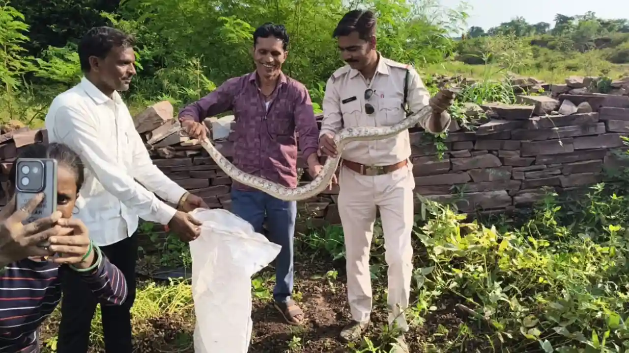 ग्राम फुसरिया में अजगर होने से मचा हडकंप
