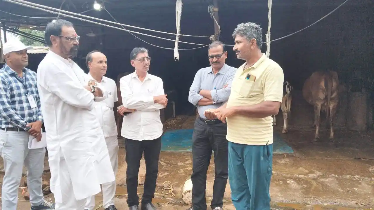 मनासा विधायक श्री मारू ने पशुपालन कार्य का जायजा लिया