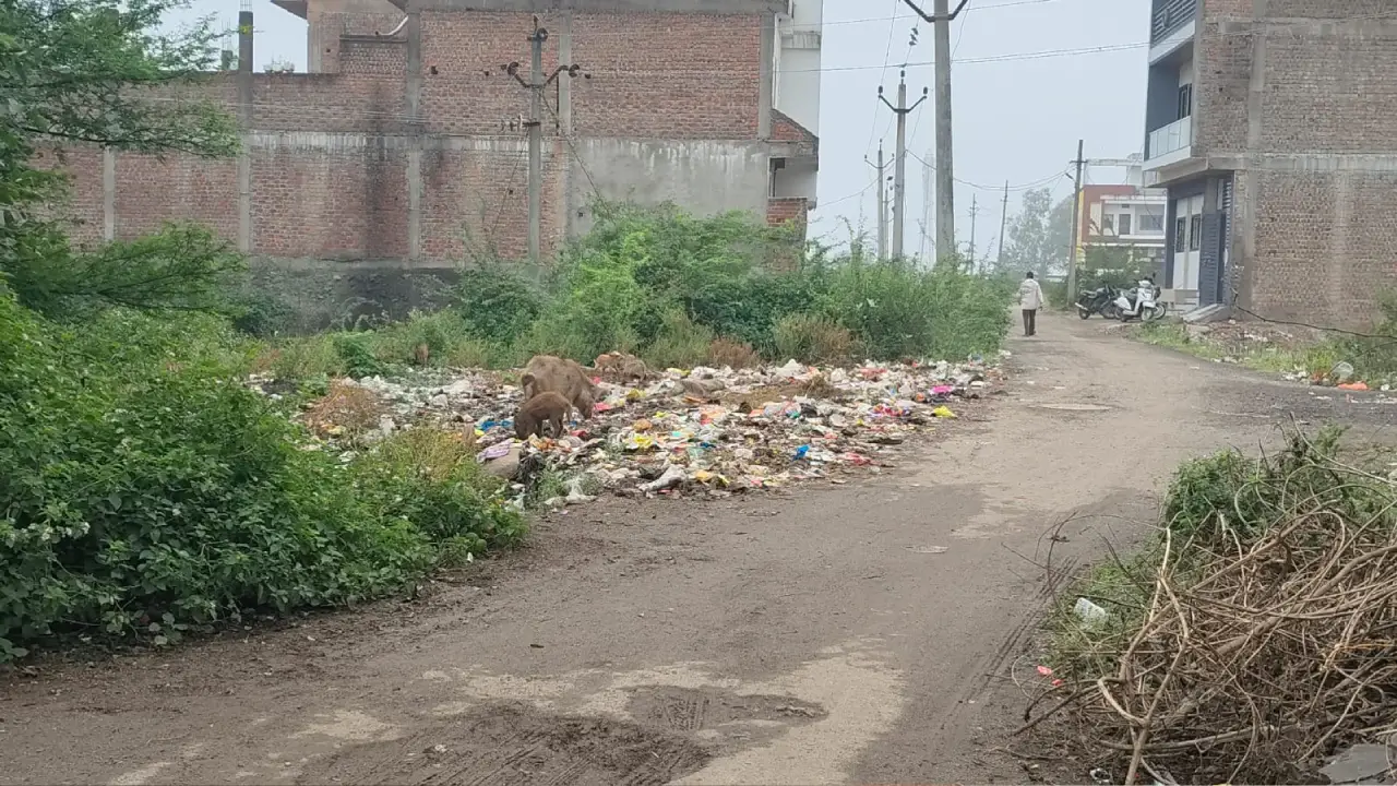 प्रतापगढ़ जिले के कलेक्टर रोड अन्य जगहों पर गंदगी का आलम अधिकारी मौन