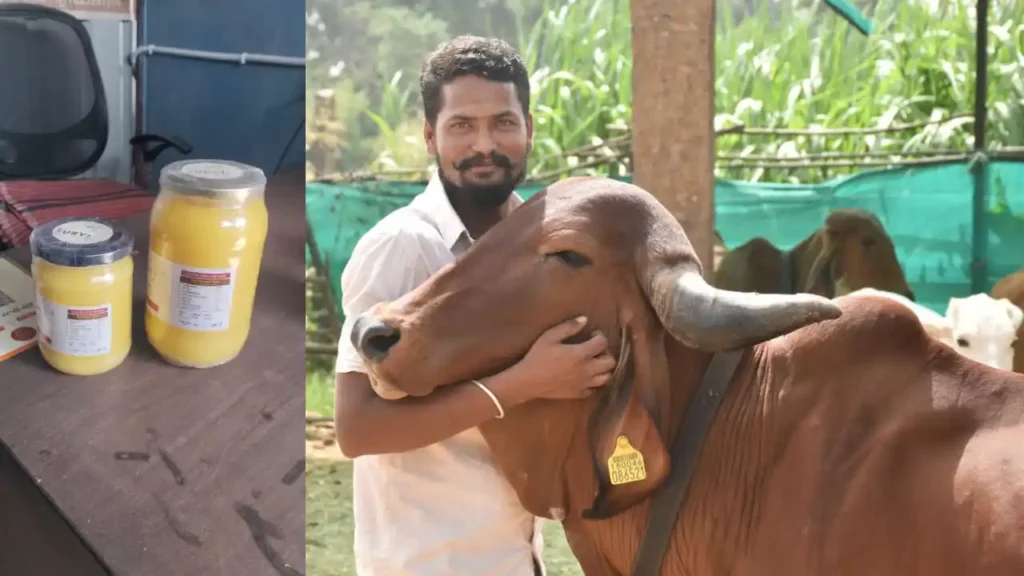 दस बीघा खेती वाले किसान से भी ज्‍यादा पशुपालन से कमा रहे है नीमच के पृथ्‍वी धाकड़