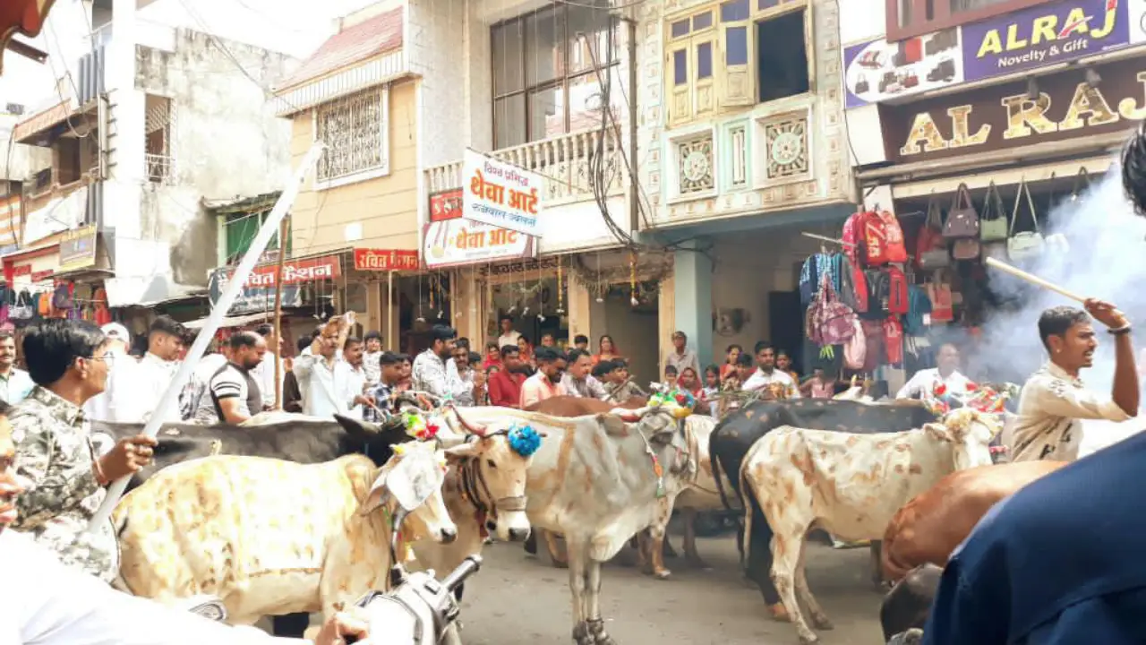 प्रतापगढ़ शहर के तलाई मोहल्ले पर आज गुर्जर समाज के लोगों ने मनाया गोर्धन पूजा
