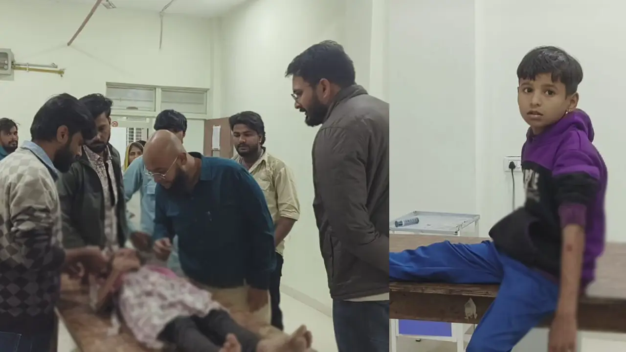 मनासा, आंतरीमाता में सात वर्षीय बच्ची और कुंडला में आठ वर्षीय बालक पर आवारा कुत्तों का हमला,