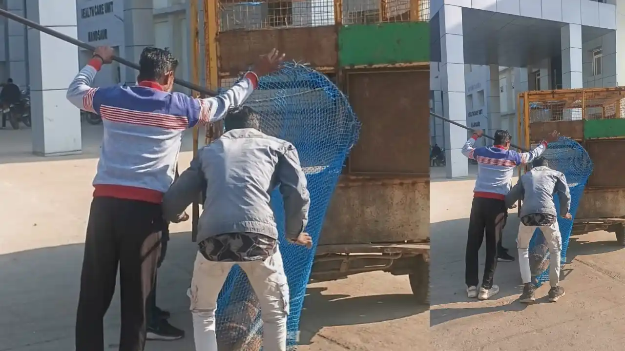 नगरपालिका ने आवारा निशक्त श्वान पकड़े आश्रय स्थल भिजवाए गए