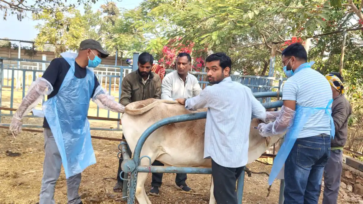 जिला प्रशासन द्वारा किया जा रहा है गौशालाओं में नवाचार 